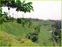 Environment Division